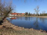 Dorfteich in Klebitz, Landkreis Wittenberg (11.03.2026)
