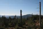 Blick am Morgen des 15.10.2011 von der Brockenstrae ber den Brockenurwald zum Wurmberg, dem Sdharz und zu Berglandschaften in Thringen, die aus einem Nebelmeer herausragen.