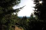 Abendstimmung auf dem Goetheweg zum Brocken; Blick am frhen Abend des 19.08.2012 von einem kleinen Rastplatz am Goetheweg Richtung Sonne...