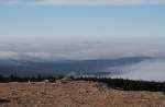 Nebelwolken wabern über die Hochfläche des Oberharzes; links ragt eine der Riesenantennen von Torfhaus aus dem Wolkenmeer...