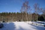 Winterlandschaft am Scharfenstein (26.12.2014)