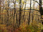 Die Herbstlandschaft in der Nähe der Steinerne Renne am 04.