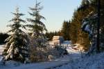 Ein Wanderweg im Hochharz.