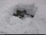 An diesem Loch erkennt man, wie hoch noch die Schneedecke am Goetheweg beim Brocken war.