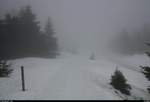 Blick auf den vernebelten Goetheweg beim Brocken.