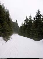 Blick auf die mit Schnee bedeckte Königsbergloipe beim Brocken.