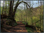 Wanderweg durch das Bodetal bei Thale.