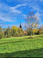 Die Stadt Aschersleben hat viele grüne Ecken zu bieten. An dieser Freifläche neben der Baumgartenstraße kann man im Hintergrund den Turm der St.-Stephani-Kirche erkennen.

🕓 26.10.2022 | 14:22 Uhr