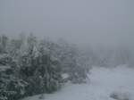 Ein WInterzauber auf dem Brocken am 2.2.2008