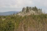 Im Nationalpark Hochharz.