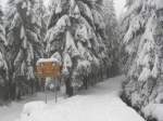 Der Goetheweg kurz hinterm Torfhaus zum Brocken. Links die Spur fr Langlufer, die Loipe, rechts der Wanderweg. Sehr beeindruckend, wenn der Hochharz tief verschneit ist. brigens betrgt die Hhe dort zwischen 800 und 820 Metern, genau wei ich es leider nicht, der Torhaus hat jedenfalls Meter 810 Hhenmeter (genau wei ihc es nicht, mindestens aber 800 Meter). Aufgenommen am 30.11.2005