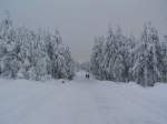 Der 30.11.2005 war im Hochharz sehr kalt und stark verschneit, wie man wohl nicht bersehen kann. Dieses Foto habe ich auf der Brockenstrae von Schierke kurz vorm Brocken aufgenommen. Bei viel Schnee ist der Hochharz beeindruckend! 