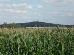 Blick aus einem Ortsteil der Stadt Wettin-Lbejn auf den Petersberg in der gleichnamigen Gemeinde.(02.08.2012)