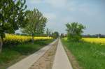 Einer der zahlreichen  LBG-Wege  der Stadt Wettin-Löbejün in mitten blühender Rapsfelder am 27.04.2014. Im Hintergrund sind schon die ersten Häuser eines Ortsteils zu sehen.