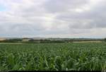 Blick von Lieskau (Einheitsgemeinde Salzatal), An den Feldäckern, Richtung Norden mit dem leicht erkennbaren Petersberg. Aufgenommen während einer Fahrradtour auf dem Himmelsscheibenradweg. [25.6.2018 | 9:43 Uhr]