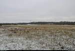 An diesem Freitagmorgen hatte es in Halle (Saale) und Umgebung geschneit, sodass eine leichte Schneeschicht die Landschaft bedeckte.