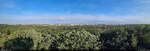 Wie grün die Stadt Halle (Saale) sein kann, das beweist diese Panorama-Aufnahme vom Kolkturm in der Dölauer Heide.