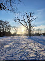 Bestes Winterwetter an der verschneiten Würfelwiese in Halle (Saale).