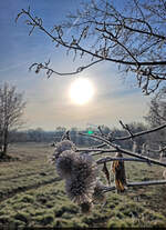 Reif und Sonne: So macht Winter halbwegs Spaß.