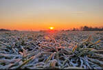 Erste Sonnenstrahlen auf dem Granauer Berg in Halle (Saale). Noch hält sich der Reif auf der Wiese.

🕓 4.2.2025 | 7:57 Uhr