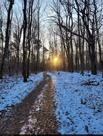 Verschneiter Waldweg: Wo die Sonne nicht hinkommt, zieren Schnee und Eis die Wege der Dölauee Heide bei Halle (Saale).

🕓 20.2.2025 | 8:01 Uhr