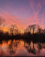Der März bietet oft tolle Abendstimmungen. Auf Höhe der Peißnitzbrücke in Halle (Saale) spiegelt sich der Himmel sogar in der Saale.

🕓 3.3.2025 | 18:14 Uhr
