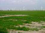 Windpark bei Wesselburen (10.05.2011)