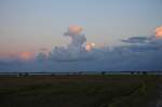 Hallig Nordstrandischmoor - 16.06.2008 - Abend auf der Hallig, eine Idylle mit weidenden Khen, dem Blick zur Insel Nordstrand und den vom letzten Sonnenlicht angestrahlten Wolken.