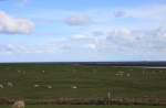 Hallig Nordstrandischmoor - 16.06.2008 - Immer wieder faszinierend, der weite Blick.