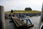 So nah kommt man sonst nicht an die Hallig Habel, es sei denn, man fährt eine Tour mit dem Postboot und zufällig muß ein neuer Vogelschützer von Schlüttsiel geholt werden.