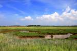 Geestlandschaft auf der Insel Fhr am 03.07.2012