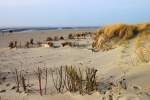 Am Strand von Goting auf Föhr am 2.