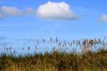 Am Strand von Utersum auf Föhr am 07.09.2015.