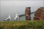 Impression aus Helgoland.