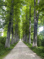 Philosophischer Gang im Eutiner Schlosspark in Ostholstein.