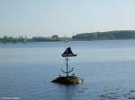 Die Schlei bei Maasholm (Kreis Schleswig-Flensburg, Schleswig-Holstein, Mai 2010)