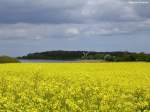 Mühle  Charlotte  am Rande vom Naturschutzgebiet  Geltinger Birk  nördlich von Nieby (Kreis Schleswig-Flensburg, Schleswig-Holstein, Mai 2010) 