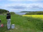 Mühle  Charlotte  am Rande vom Naturschutzgebiet  Geltinger Birk  nördlich von Nieby (Kreis Schleswig-Flensburg, Schleswig-Holstein, Mai 2010) 