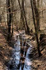 Mühlenbach im Lindewitter Wald östlich von Flensburg.