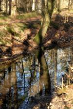 Mühlenbach im Lindewitter Wald östlich von Flensburg.