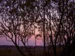 Sonnenuntergang im Naturschutzgebiet am Schäferhaus bei Flensburg.