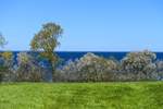 Blick auf Flensburger Förde von Norgaardholz bei Gelting. Aufnahme: 21. April 2020.