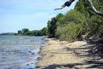 Am Strand von Halbinsel Holnis (Flensburger Förde). Aufnahme: 4. Juni 2020.