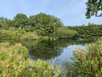 Blick vom Herbert-Thomsen-Weg an der Sankelmarker See im Kreis Schleswig-Flensburg.