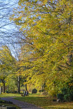 Herbst am Friedenshügel in Flensburg-West.