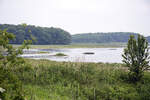 Mit seiner Fläche von rund 773 Hektar ist das in der Geltinger Bucht und auf einer Halbinsel gelegene Naturschutzgebiet das größte im Kreis Schleswig-Flensburg.