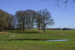 Wiese am Naturschutzgbiet Fröruper Berge südlich von Flensburg.