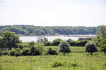 Blick �ber das Haddebyer Noor vom Ringwall der ehemaligen Wikingerstadt Haithabu. Aufnahme: 24. Mai 2026.