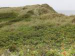 Blick aus Westerland (Sylt) auf das  Ende der Promenade am 19.