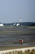 Kniepsand auf Amrum.